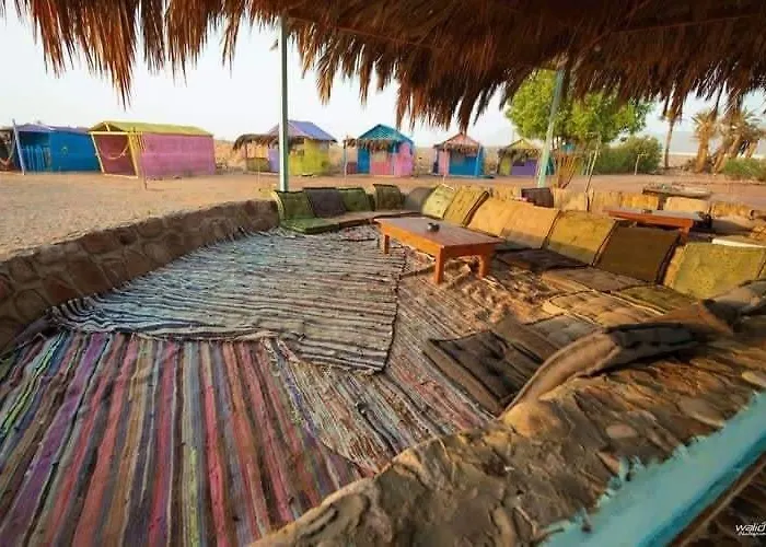 Rayan's Camp *
