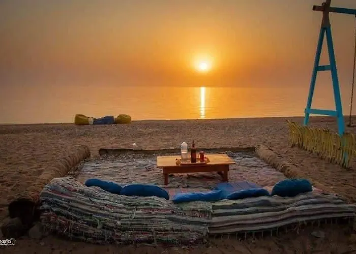 Rayan's Camp *